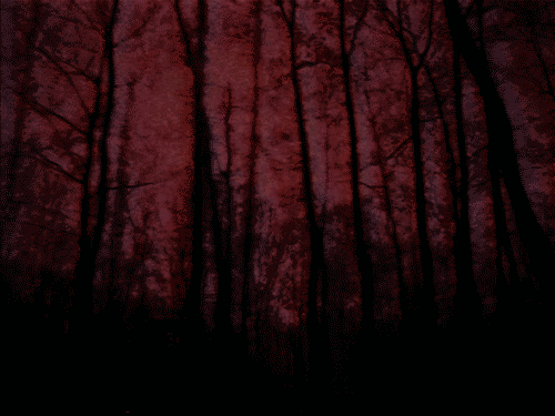 Red forest gif